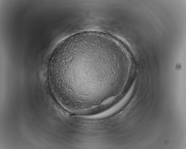 X0000097971359200803241225