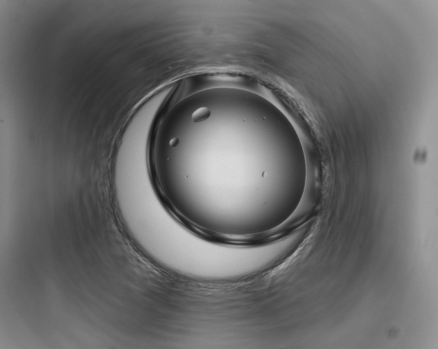 X0000097971361200803241225