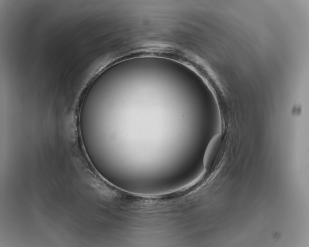 X0000097971362200803241224