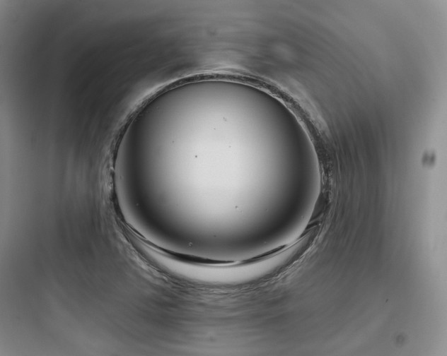 X0000097971363200803241224