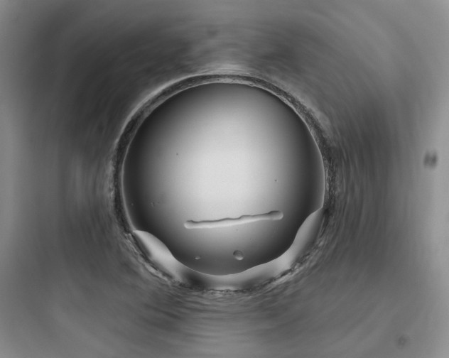 X0000097971364200803241224