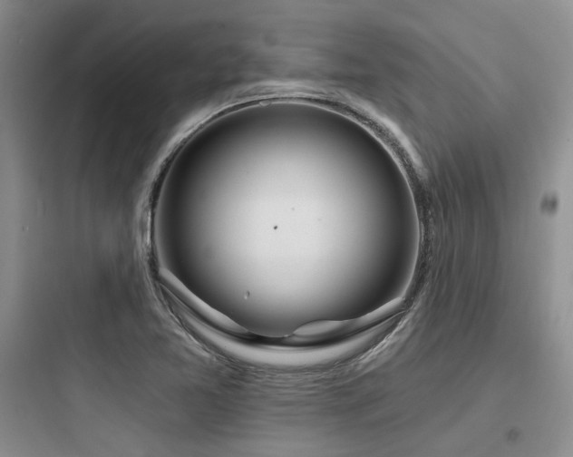 X0000097971365200803241224