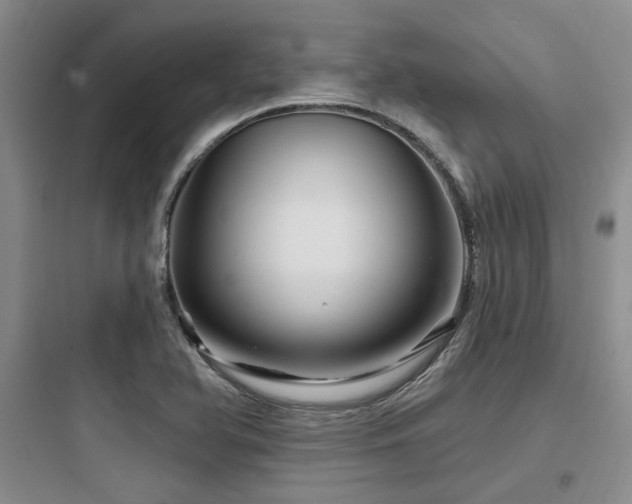 X0000097971366200803241224