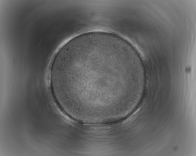 X0000097971367200803241224
