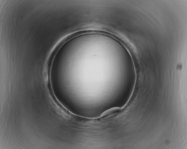 X0000097971368200803241224