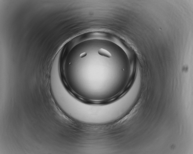 X0000097971369200803241224