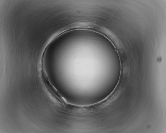 X0000097971370200803241224