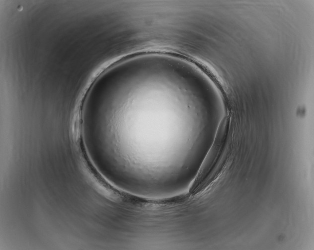 X0000097971371200803241224