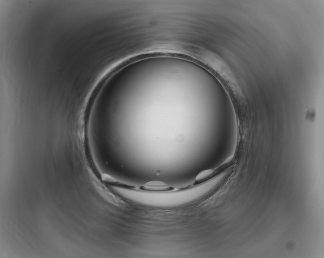 X0000097971372200803241224