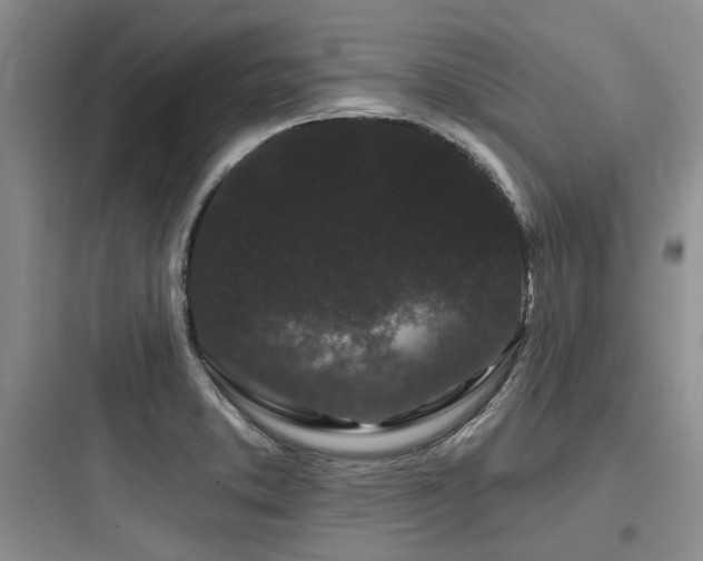 X0000097971373200803241224