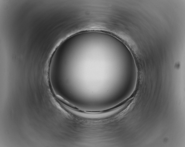 X0000097971374200803241224