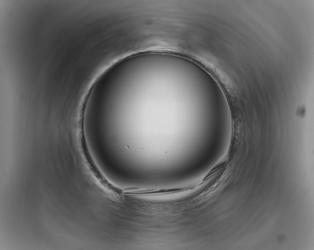 X0000097971375200803241224