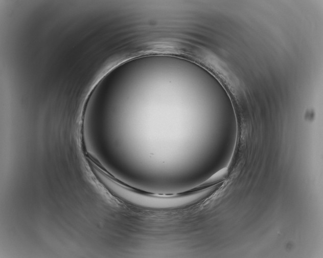 X0000097971378200803241224