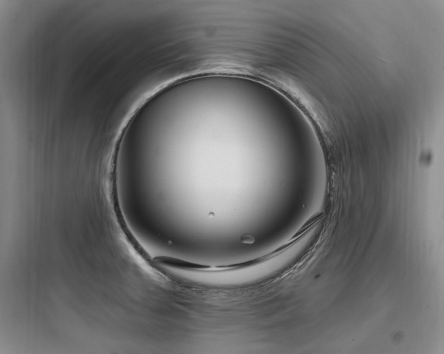 X0000097971379200803241224