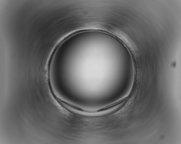 X0000097971380200803241224