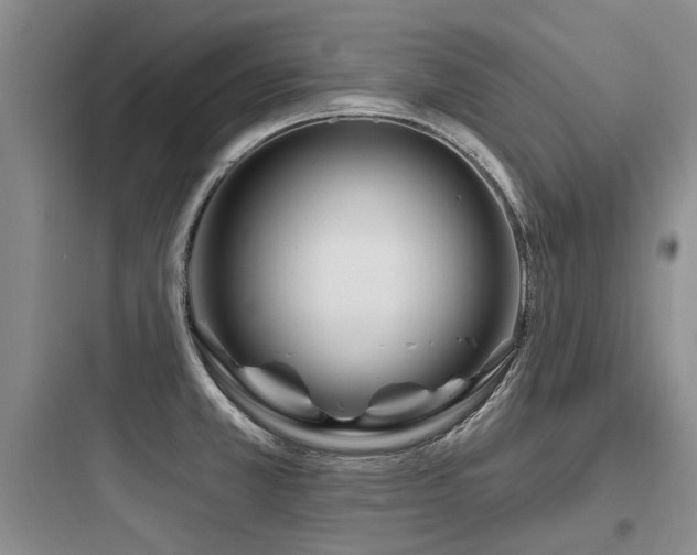 X0000097971381200803241224