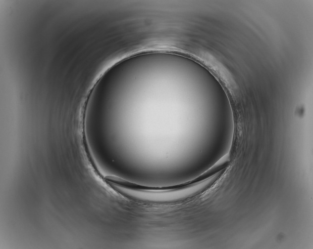 X0000097971382200803241224