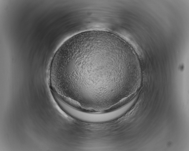 X0000097971383200803241224
