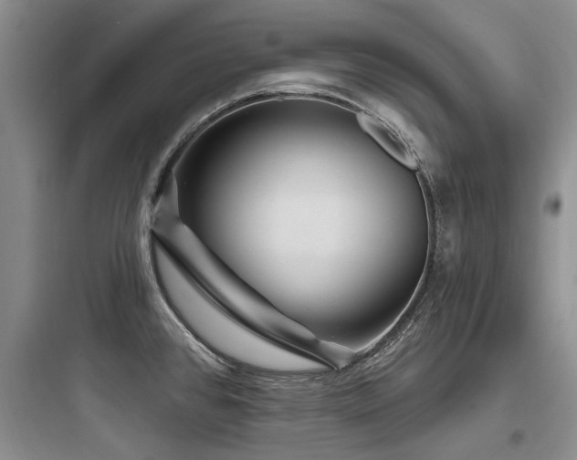X0000097971384200803241224