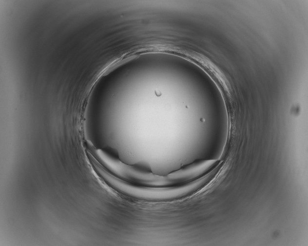X0000097971385200803241224