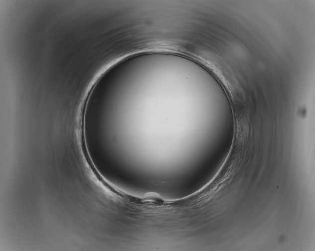 X0000097971387200803241224