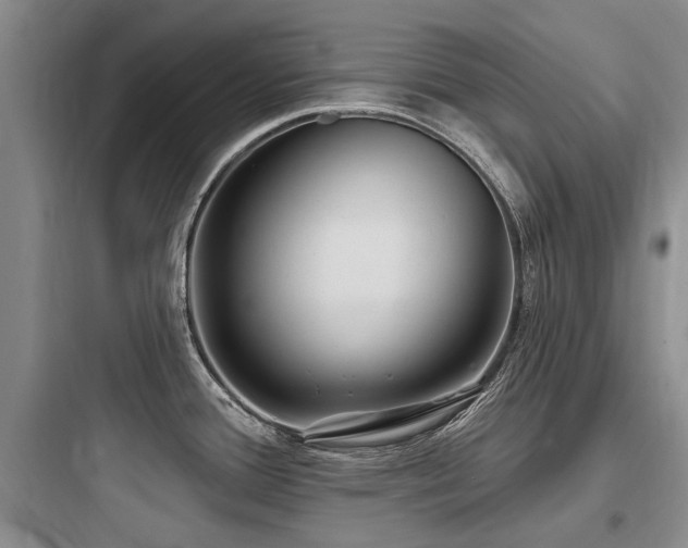 X0000097971388200803241224