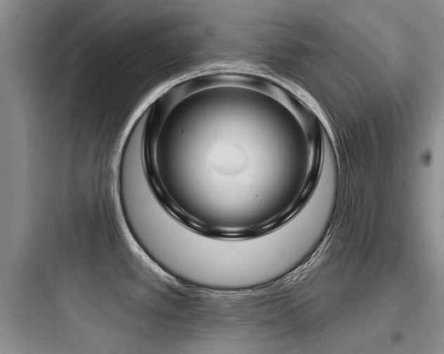 X0000097971389200803241224