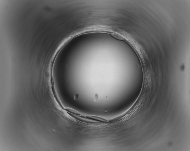 X0000097971390200803241224