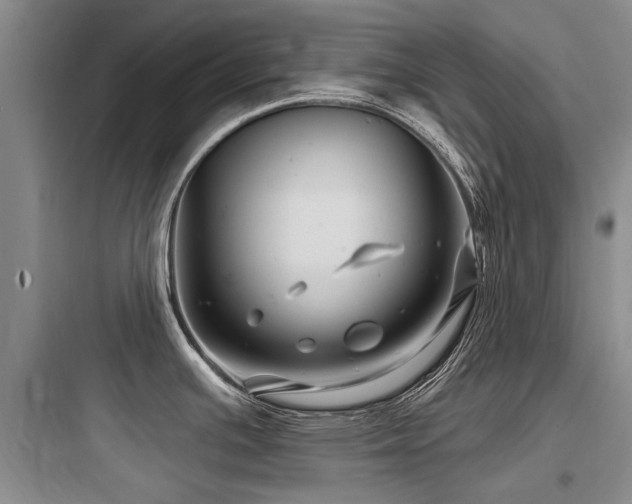 X0000097971391200803241224