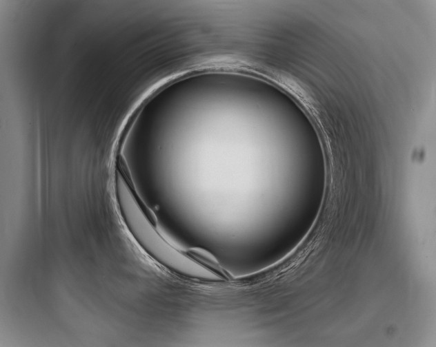 X0000097971392200803241224