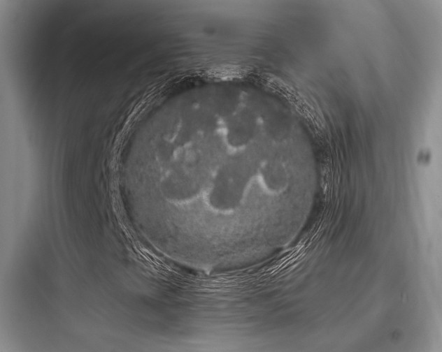 X0000097971393200803241223