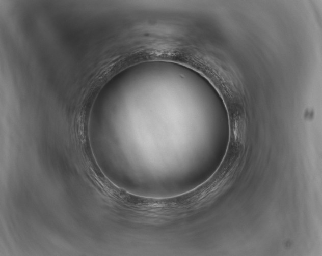 X0000097971396200803241223