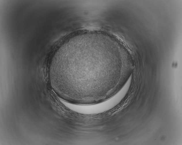 X0000097971398200803241223