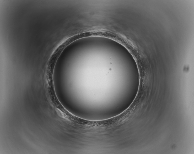 X0000097971400200803241224