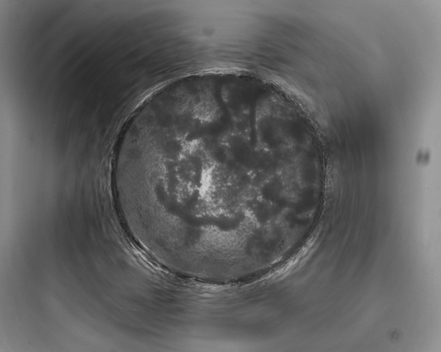 X0000097971401200803241224