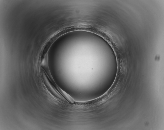 X0000097971402200803241224