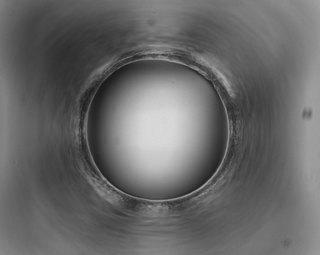 X0000097971403200803241224