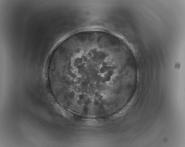 X0000097971405200803241224