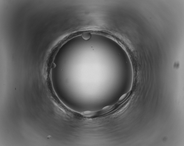 X0000097971406200803241224