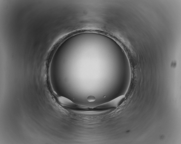 X0000097971408200803241224