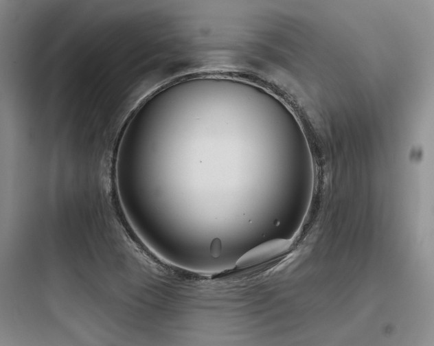 X0000097971409200803241224