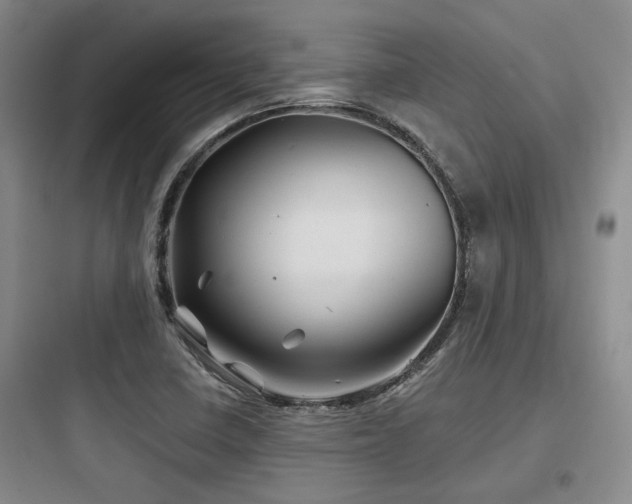 X0000097971410200803241224
