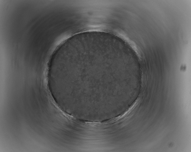 X0000097971411200803241224