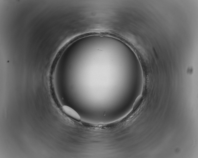 X0000097971412200803241224