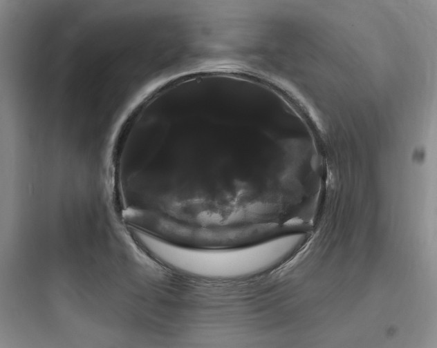 X0000097971414200803241224