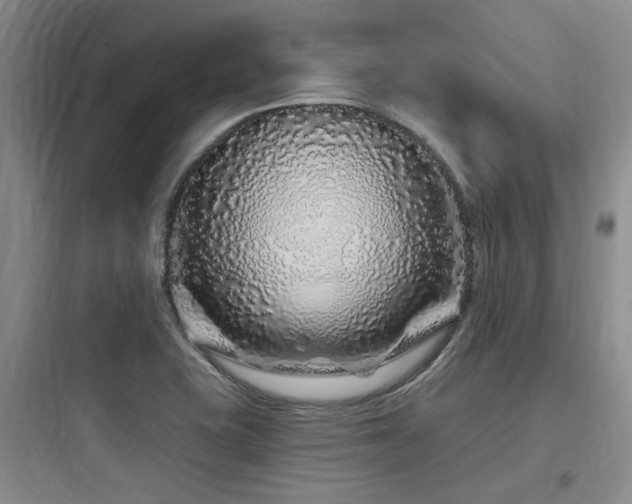 X0000097971415200803241224