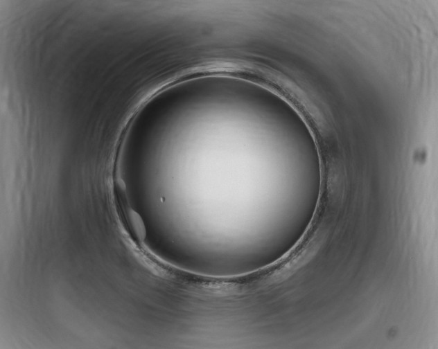 X0000097971417200803241224