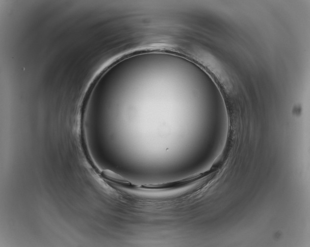 X0000097971420200803241224