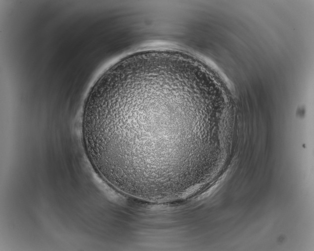 X0000097971421200803241224