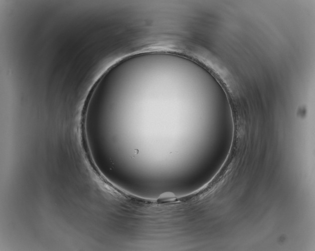 X0000097971423200803241224